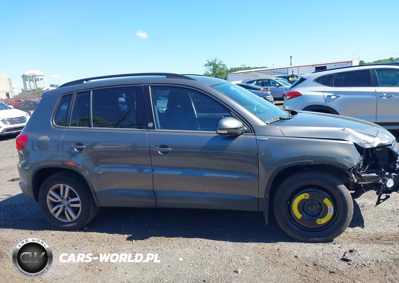 2015 Volkswagen Tiguan S VIN:WVGBV7AX0FW579393 - 13