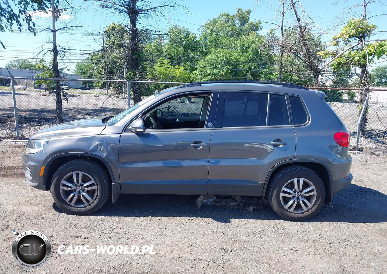 2015 Volkswagen Tiguan S VIN:WVGBV7AX0FW579393 - 14