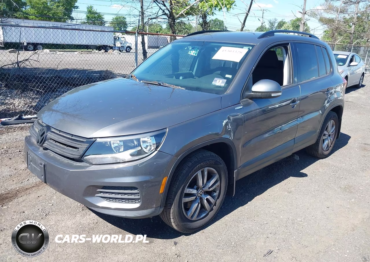 2015 Volkswagen Tiguan S VIN:WVGBV7AX0FW579393 - 2