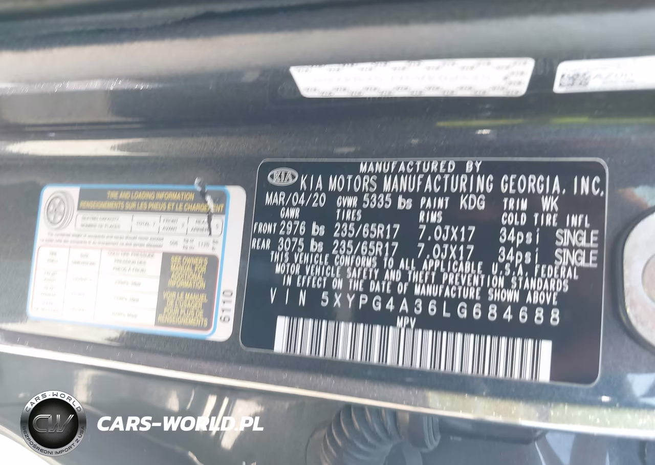 2020 Kia Sorento 2.4L Lx VIN:5XYPG4A36LG684688 - 9