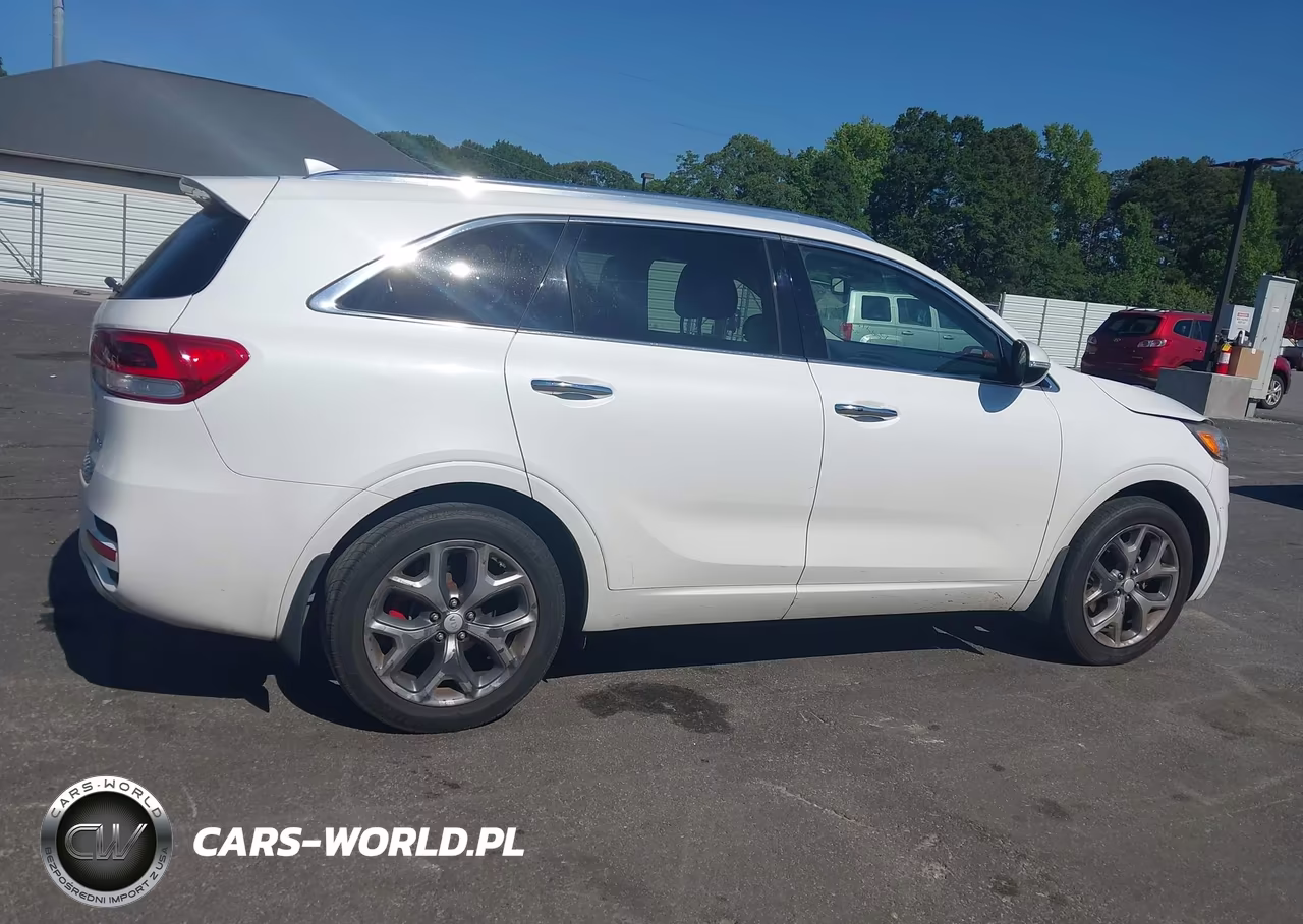 2016 Kia Sorento 3.3L Sx VIN:5XYPK4A50GG063260 - 13