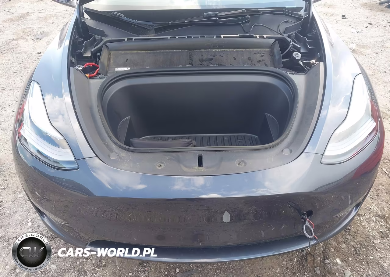 2024 Tesla Model Y Long Range Dual Motor All-Wheel Drive VIN:7SAYGDEEXRA231528 - 10