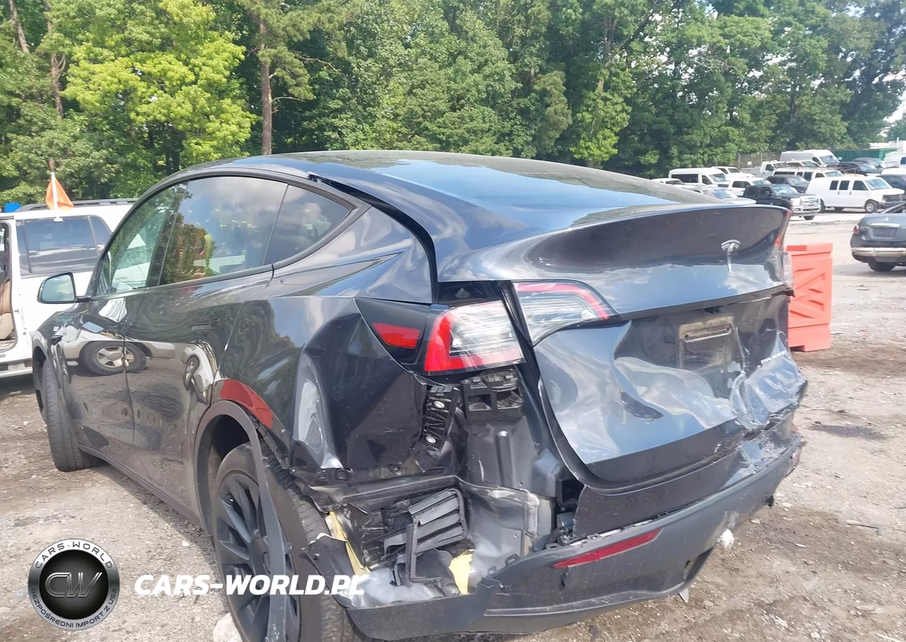 2024 Tesla Model Y Long Range Dual Motor All-Wheel Drive VIN:7SAYGDEEXRA231528 - 6