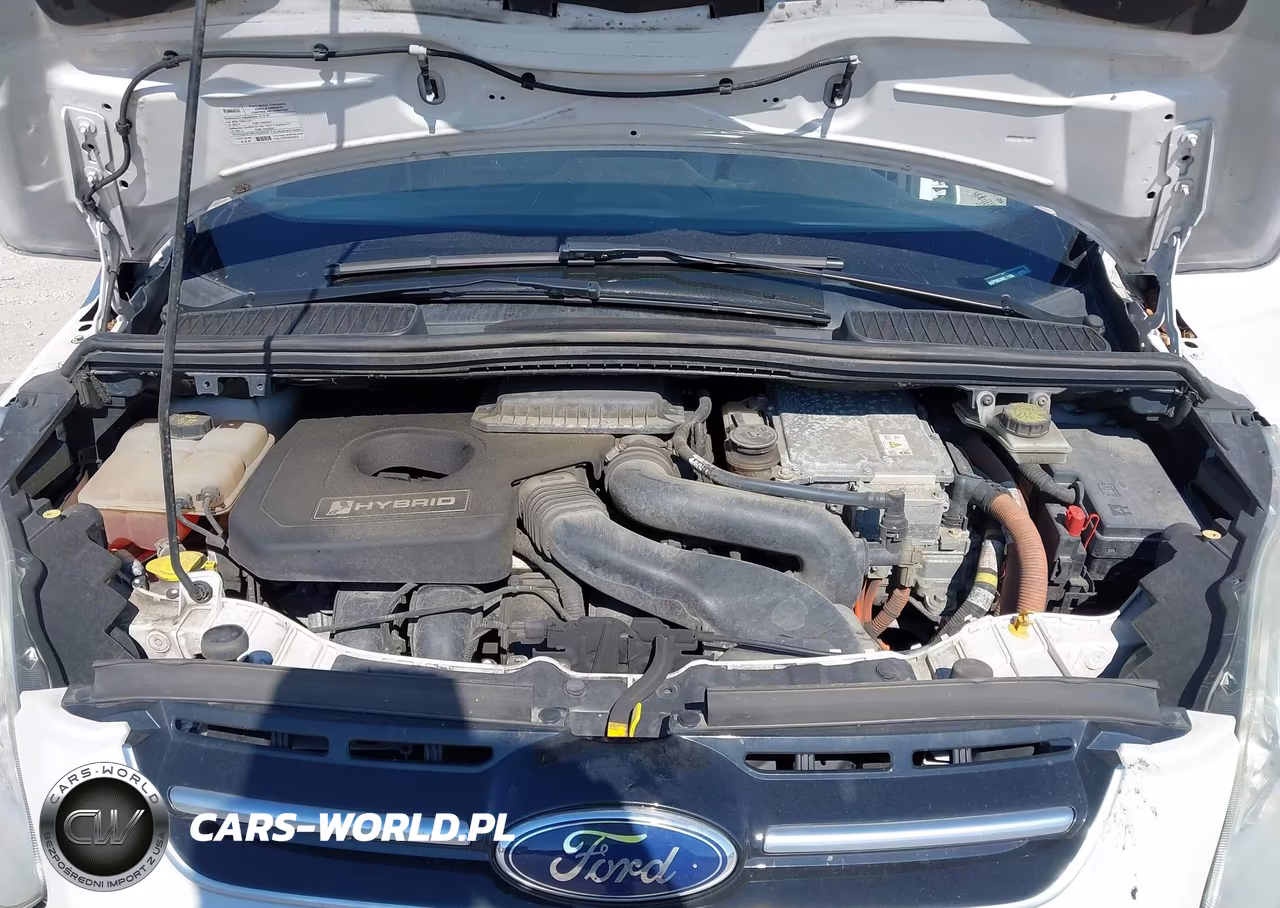 2016 Ford C-Max Hybrid Sel VIN:1FADP5BU6GL113671 - 10