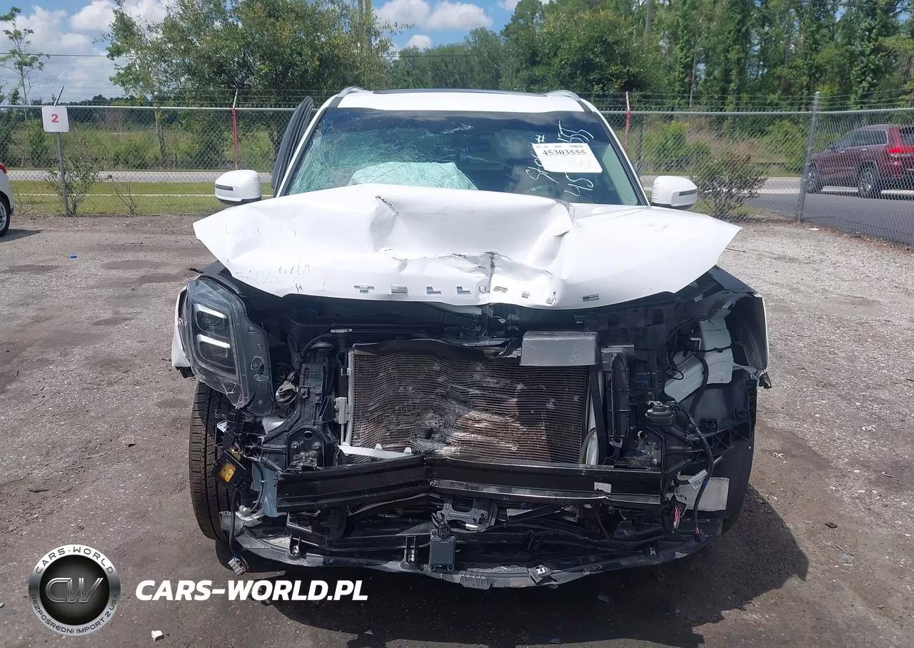 2021 Kia Telluride Sx VIN:5XYP54HCXMG141258 - 13