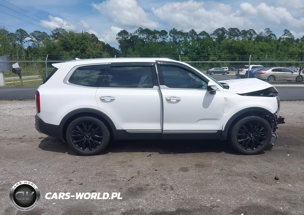 2021 Kia Telluride Sx VIN:5XYP54HCXMG141258 - 14