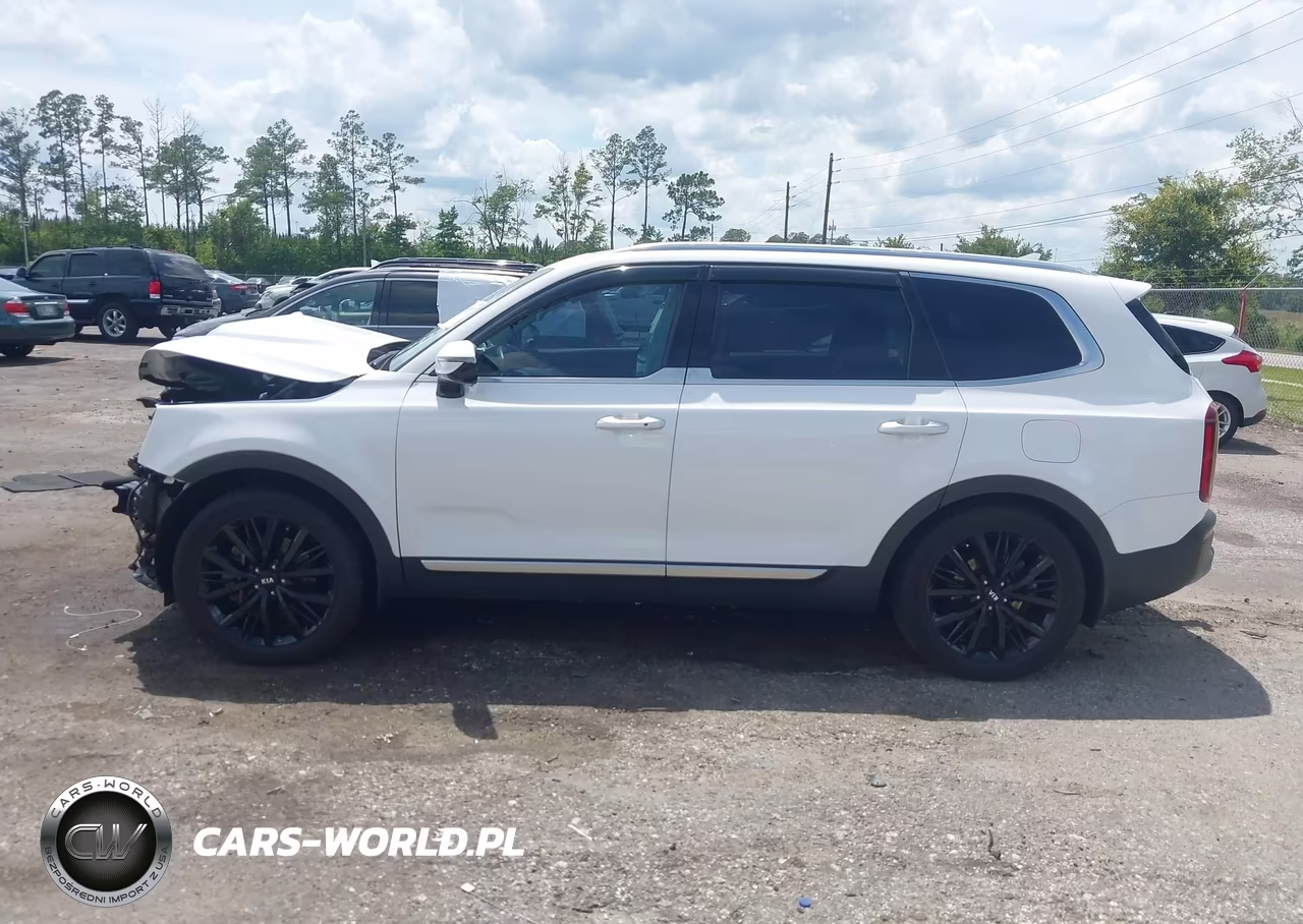 2021 Kia Telluride Sx VIN:5XYP54HCXMG141258 - 15