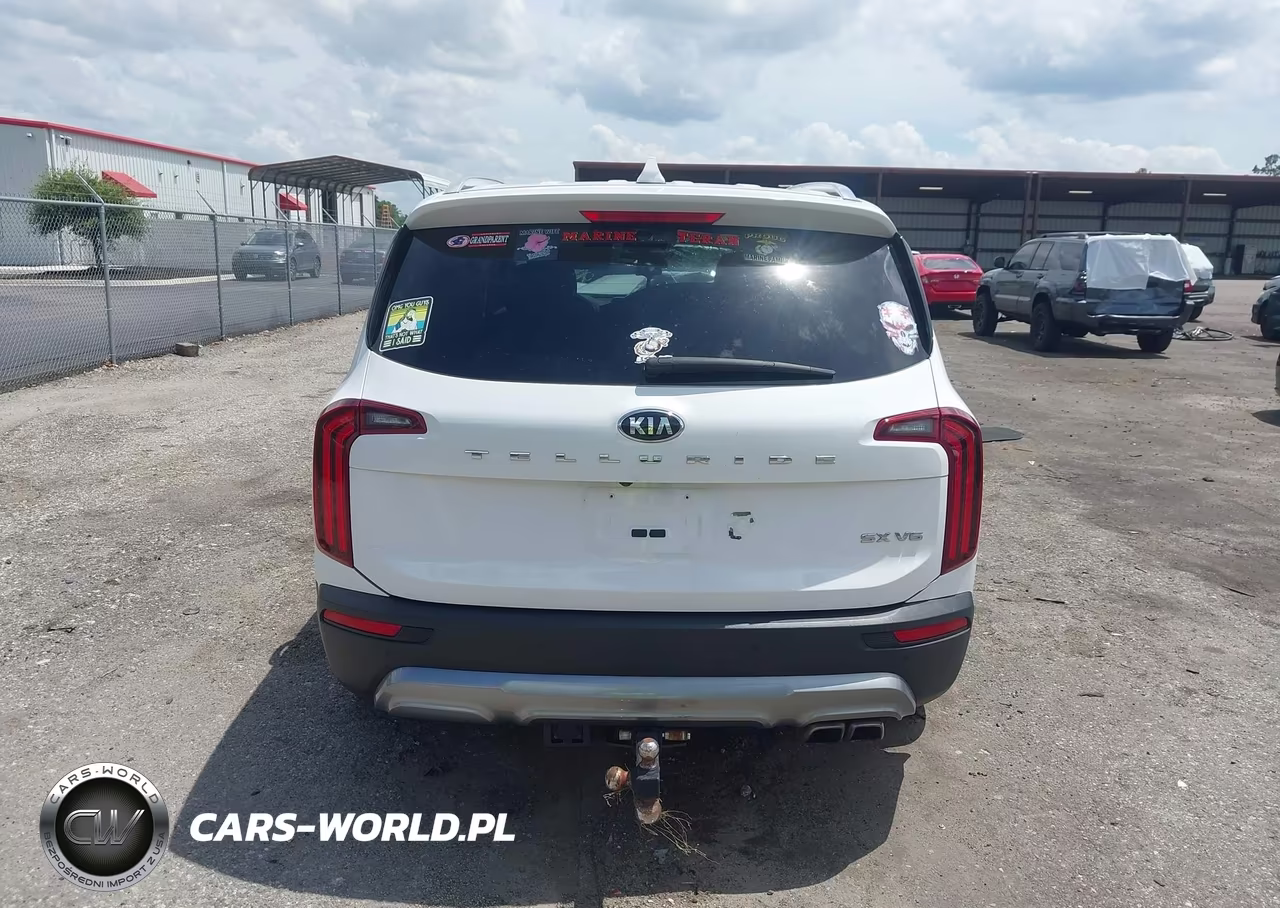 2021 Kia Telluride Sx VIN:5XYP54HCXMG141258 - 17