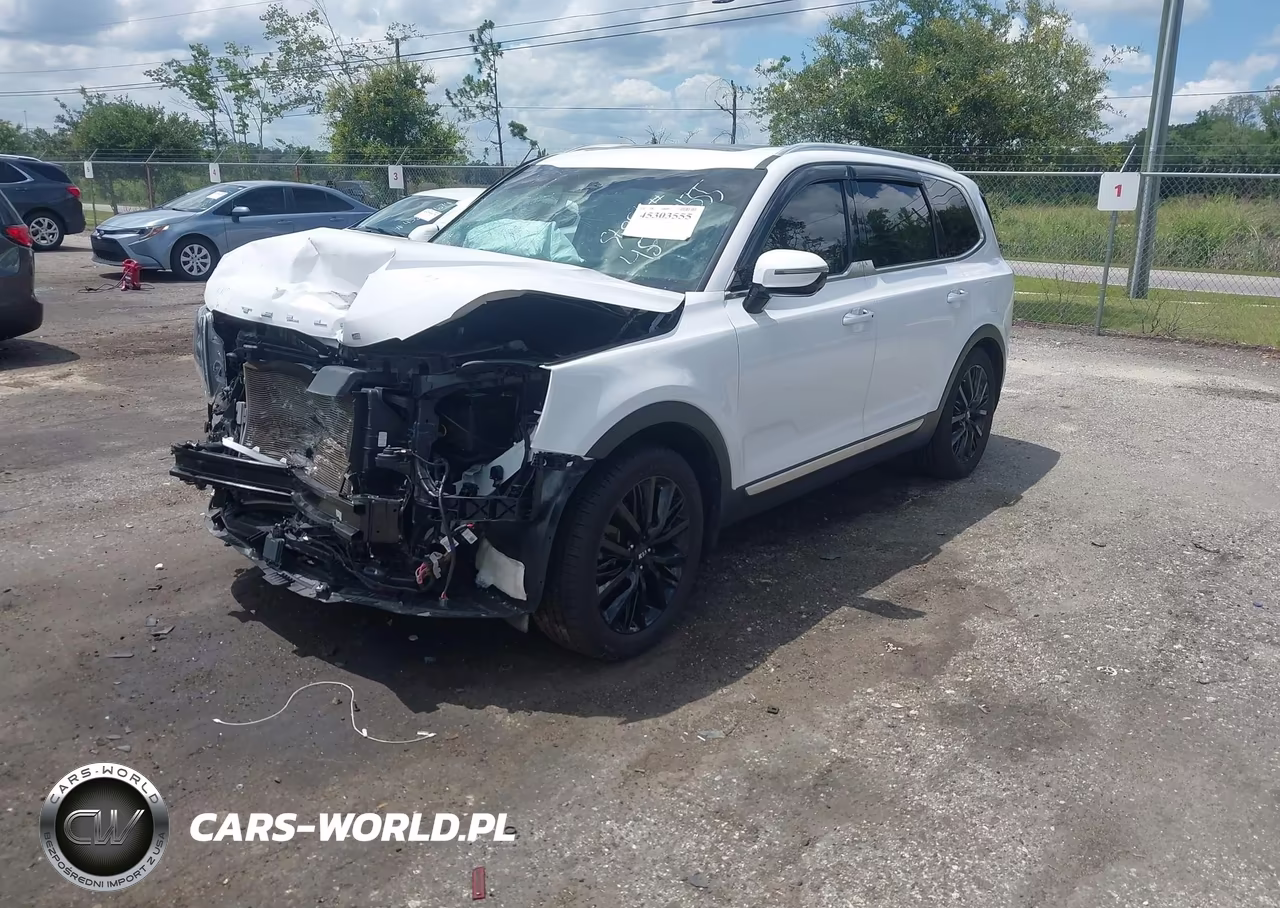 2021 Kia Telluride Sx VIN:5XYP54HCXMG141258 - 2