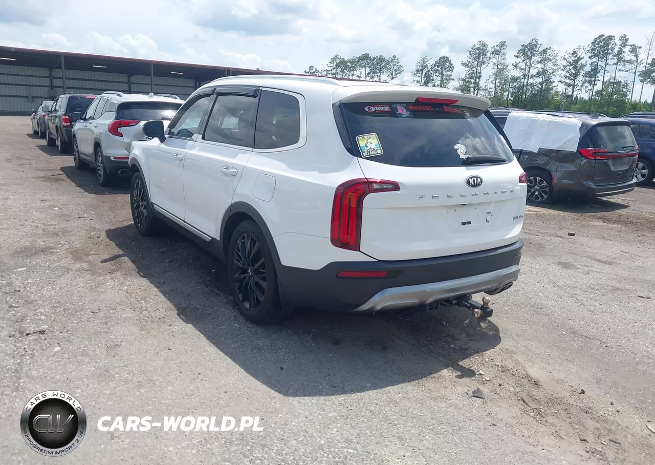 2021 Kia Telluride Sx VIN:5XYP54HCXMG141258 - 3