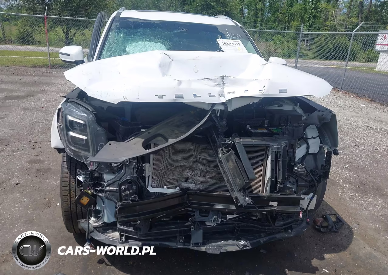 2021 Kia Telluride Sx VIN:5XYP54HCXMG141258 - 6
