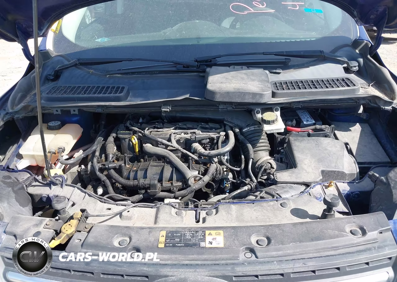 2014 Ford Escape Se VIN:1FMCU0GX8EUC06330 - 10