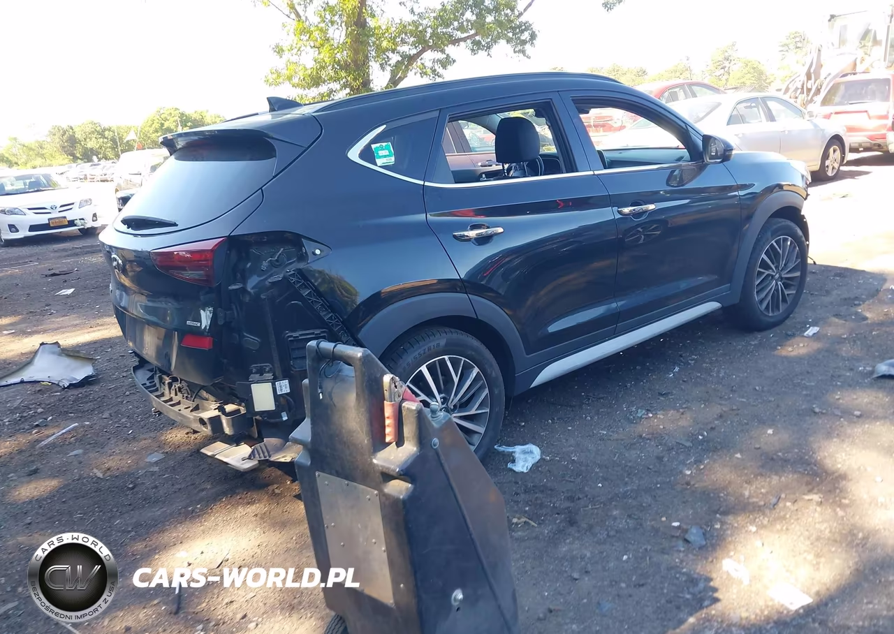 2020 Hyundai Tucson Ultimate VIN:KM8J3CAL5LU232155 - 4