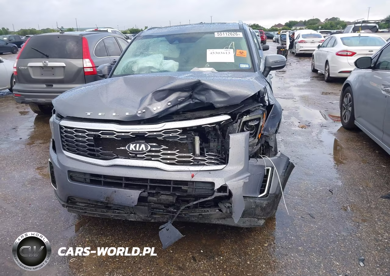 2020 Kia Telluride Ex VIN:5XYP34HC8LG076821 - 10