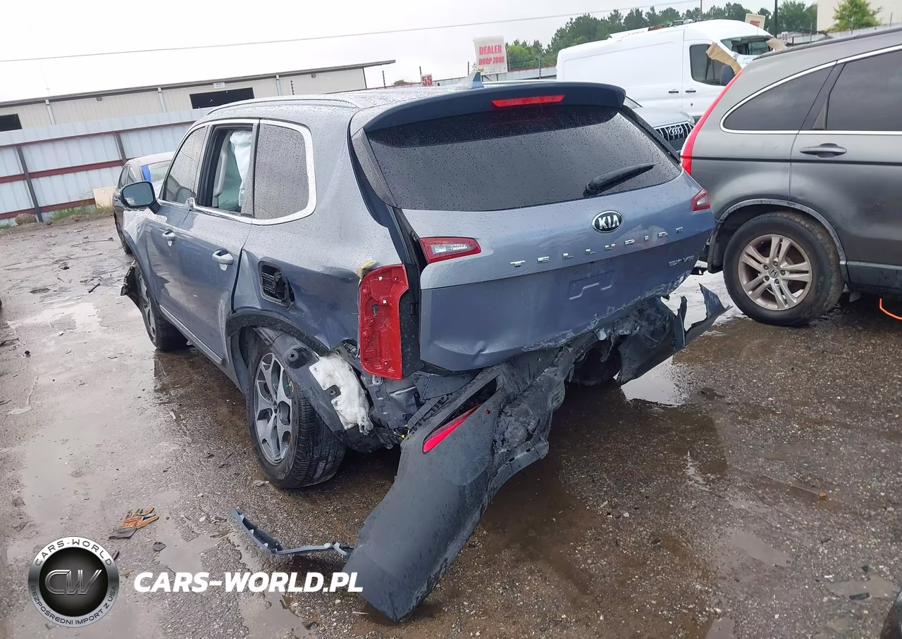 2020 Kia Telluride Ex VIN:5XYP34HC8LG076821 - 11