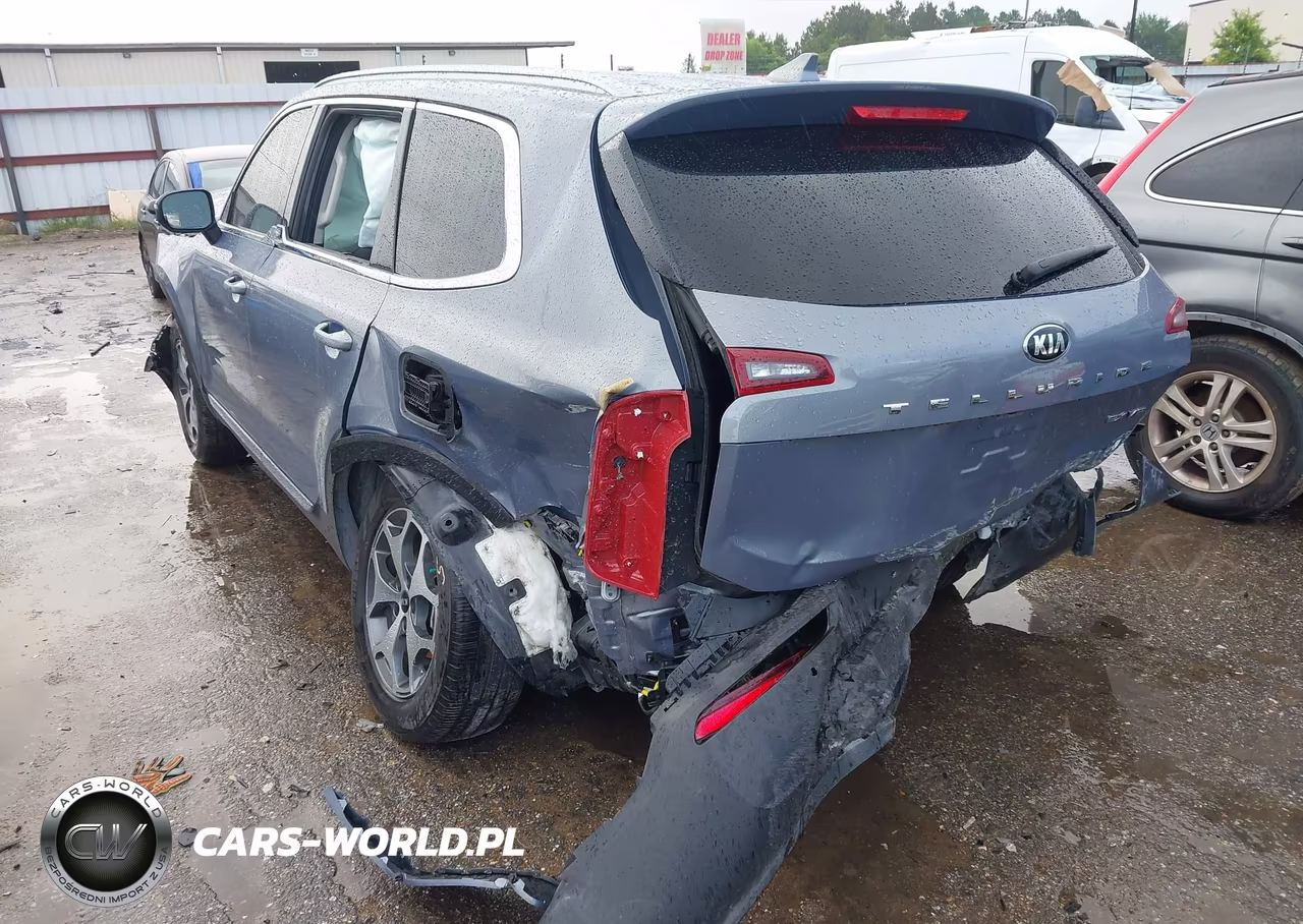 2020 Kia Telluride Ex VIN:5XYP34HC8LG076821 - 3