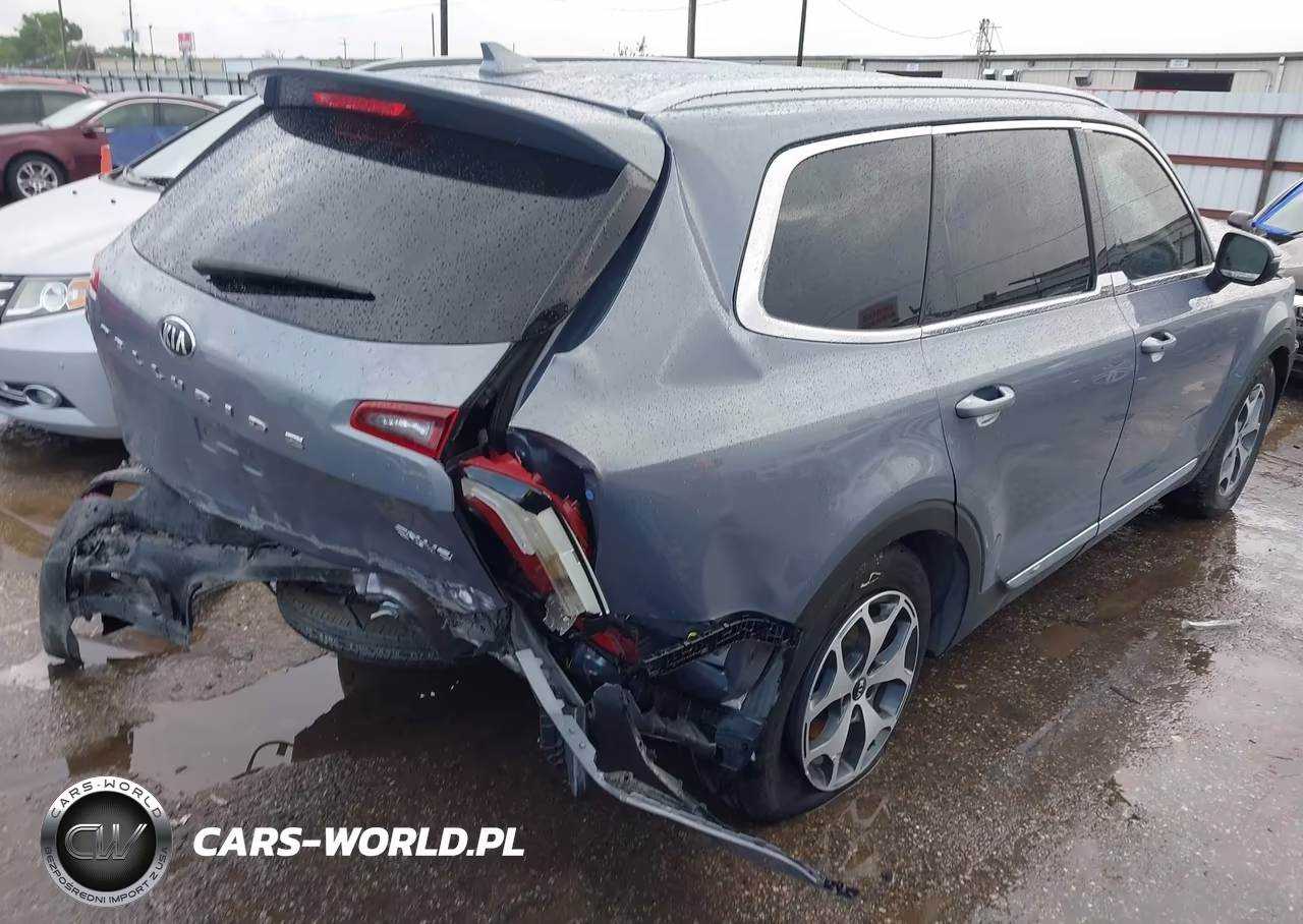 2020 Kia Telluride Ex VIN:5XYP34HC8LG076821 - 4