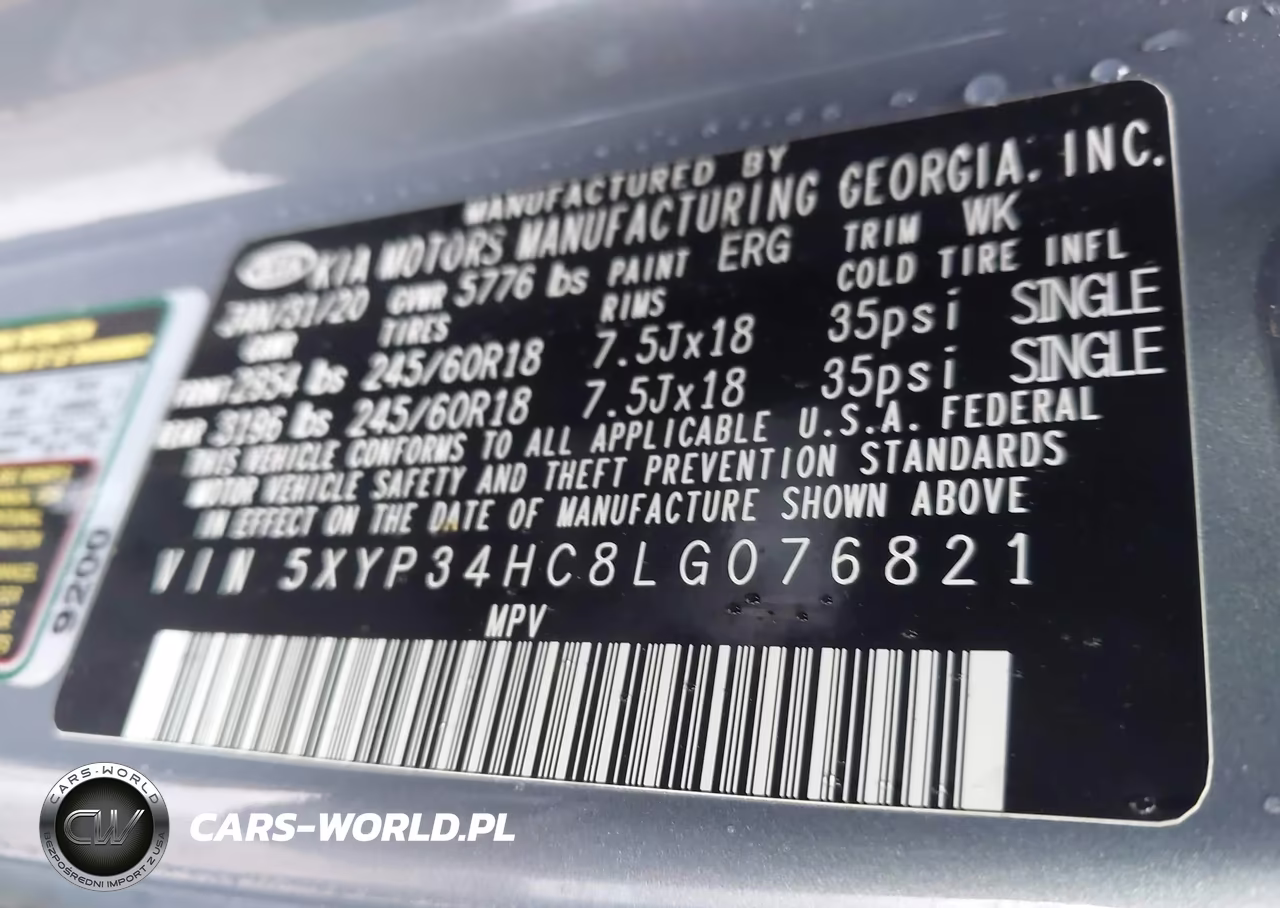 2020 Kia Telluride Ex VIN:5XYP34HC8LG076821 - 9