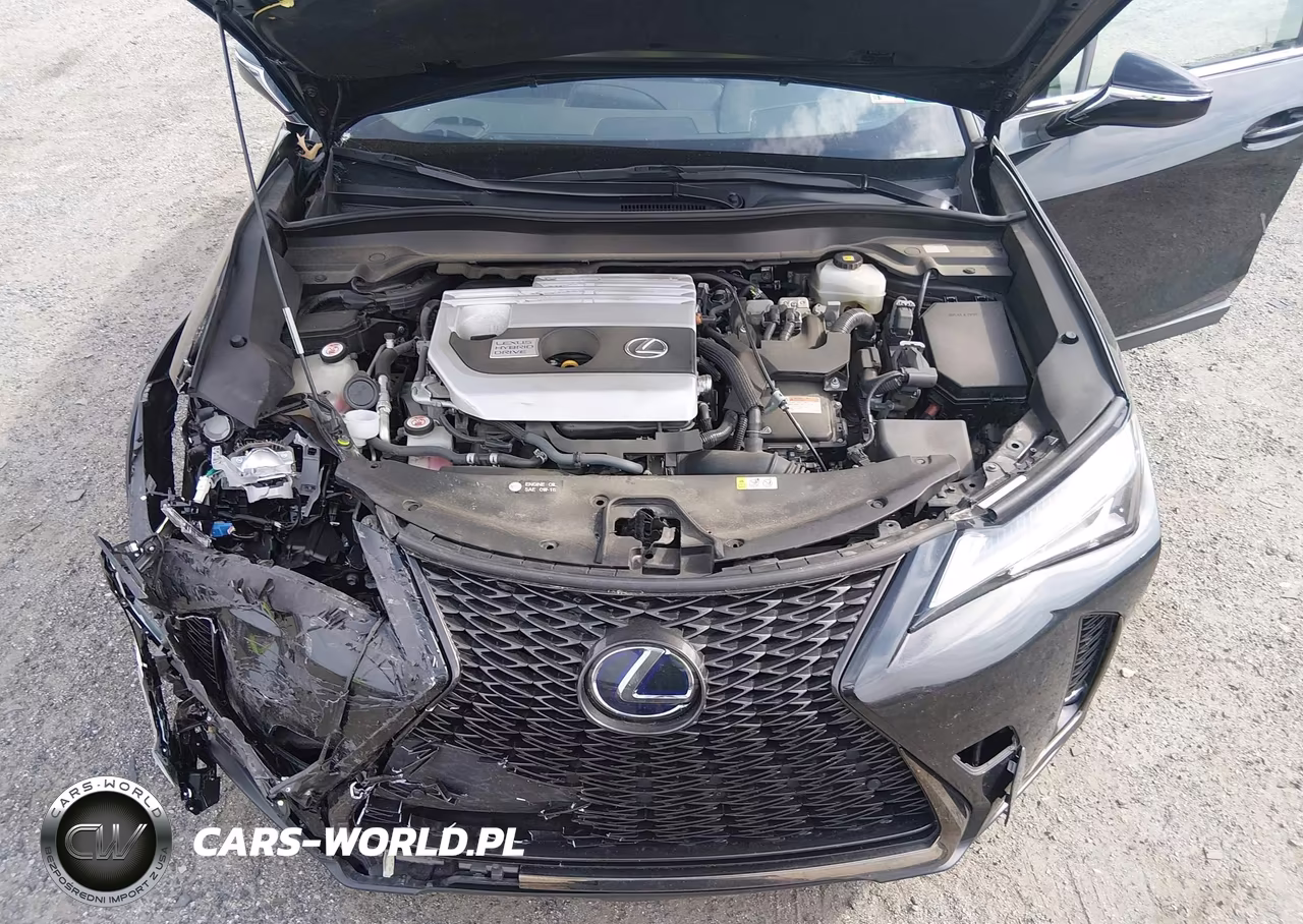 2019 Lexus Ux 250H F Sport VIN:JTHU9JBH5K2013008 - 10