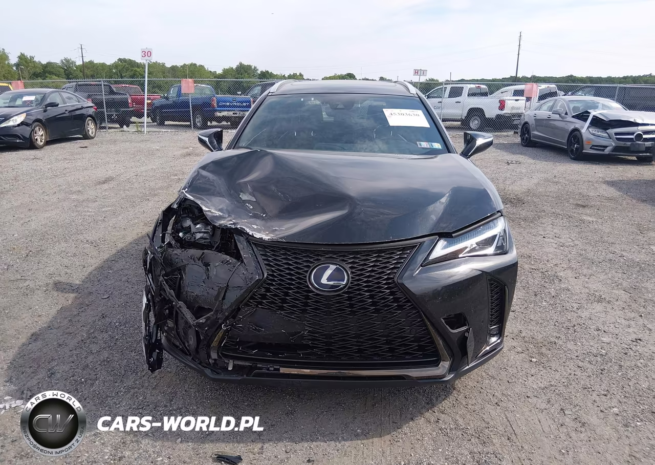 2019 Lexus Ux 250H F Sport VIN:JTHU9JBH5K2013008 - 12