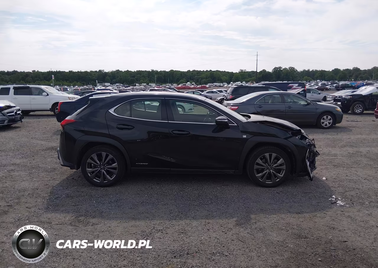 2019 Lexus Ux 250H F Sport VIN:JTHU9JBH5K2013008 - 13