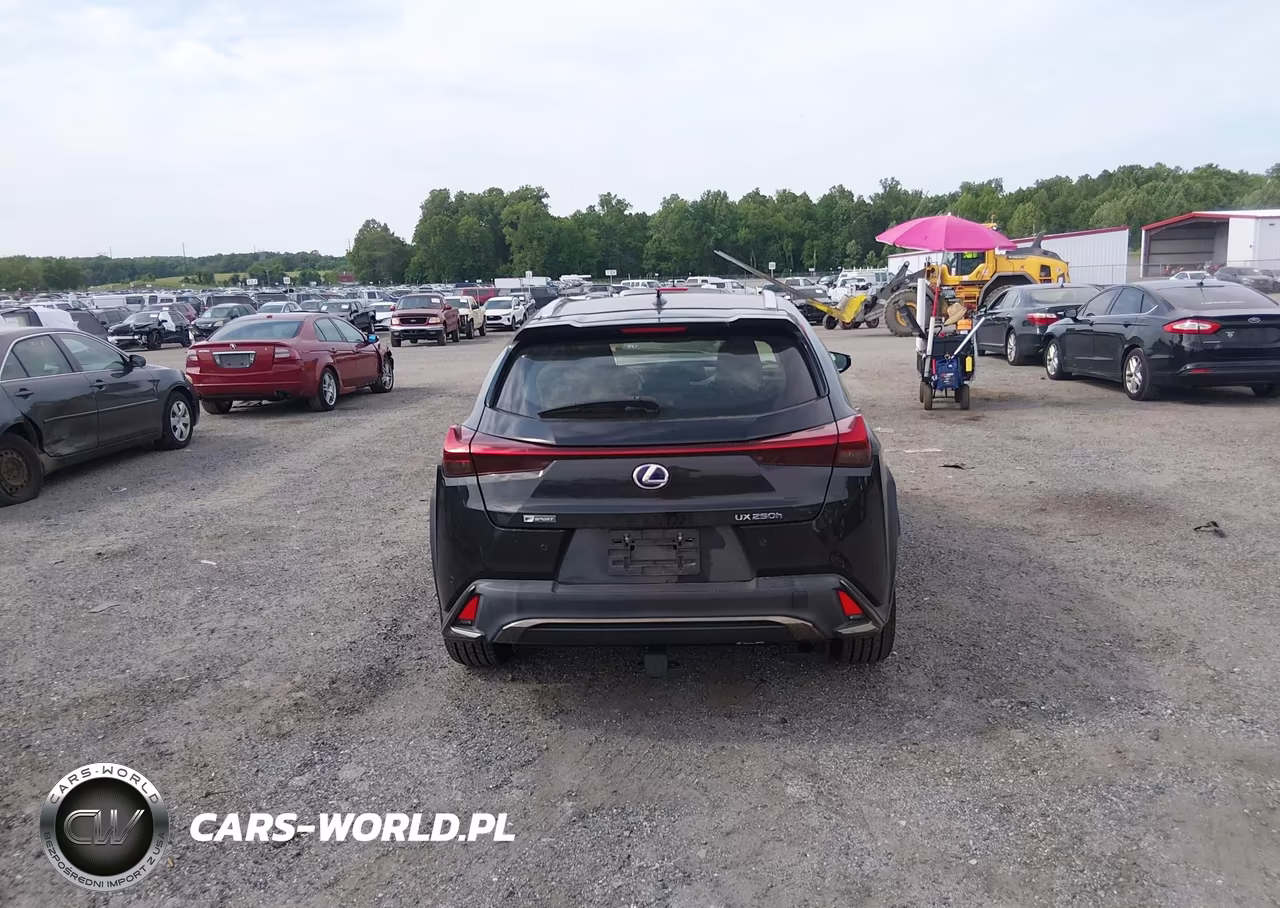 2019 Lexus Ux 250H F Sport VIN:JTHU9JBH5K2013008 - 16