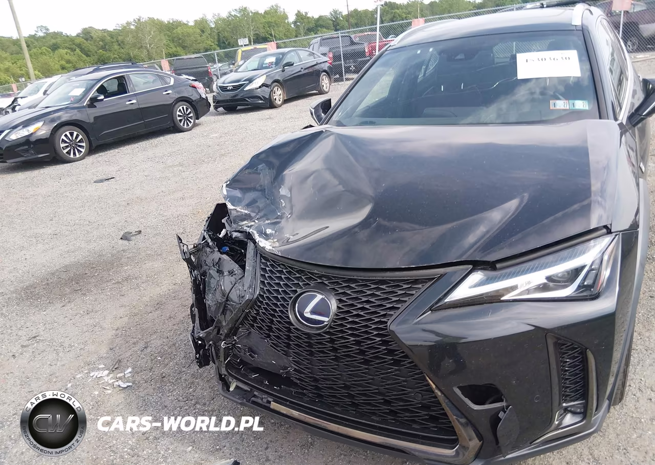 2019 Lexus Ux 250H F Sport VIN:JTHU9JBH5K2013008 - 17