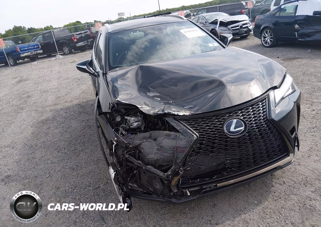 2019 Lexus Ux 250H F Sport VIN:JTHU9JBH5K2013008 - 18
