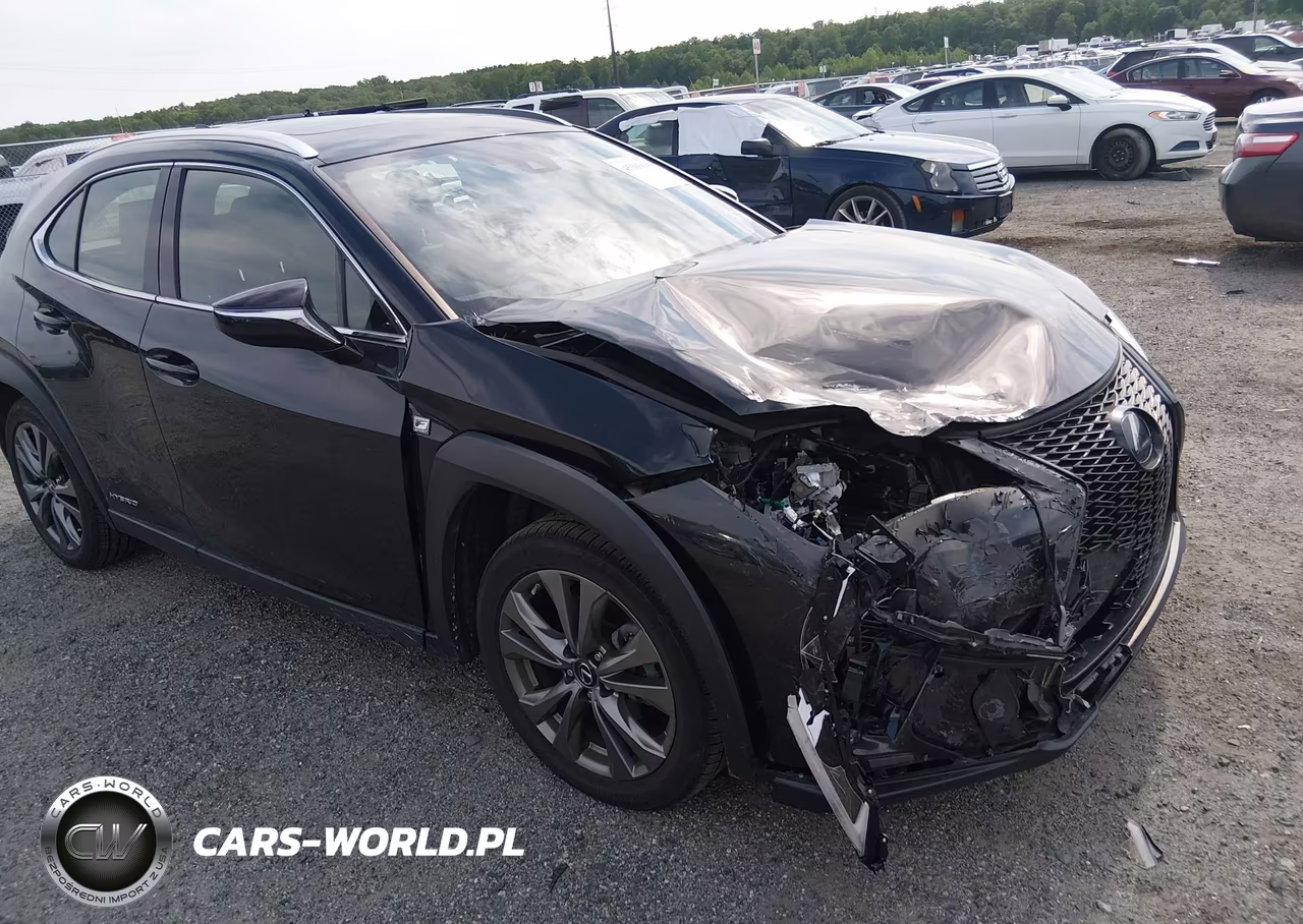 2019 Lexus Ux 250H F Sport VIN:JTHU9JBH5K2013008 - 19
