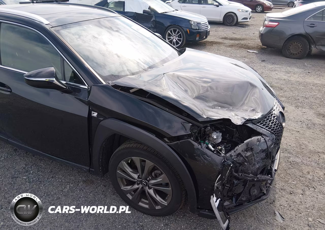 2019 Lexus Ux 250H F Sport VIN:JTHU9JBH5K2013008 - 20