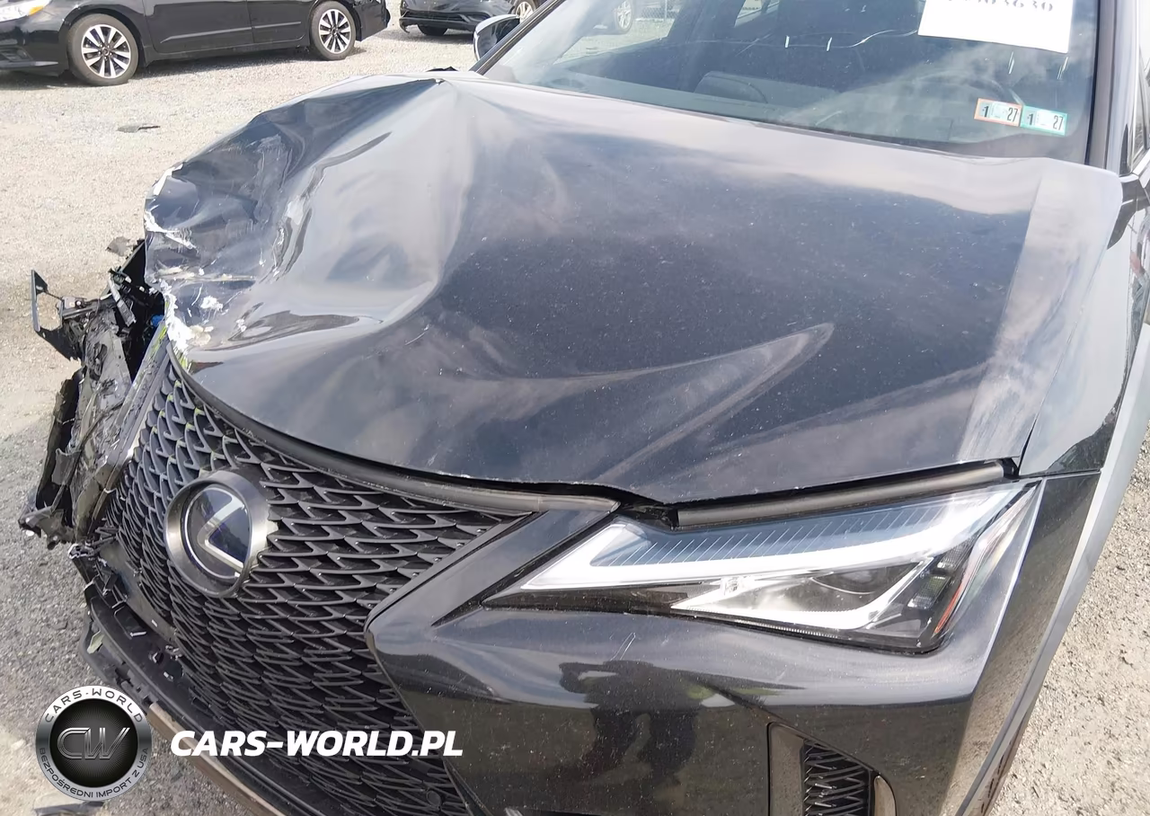 2019 Lexus Ux 250H F Sport VIN:JTHU9JBH5K2013008 - 21