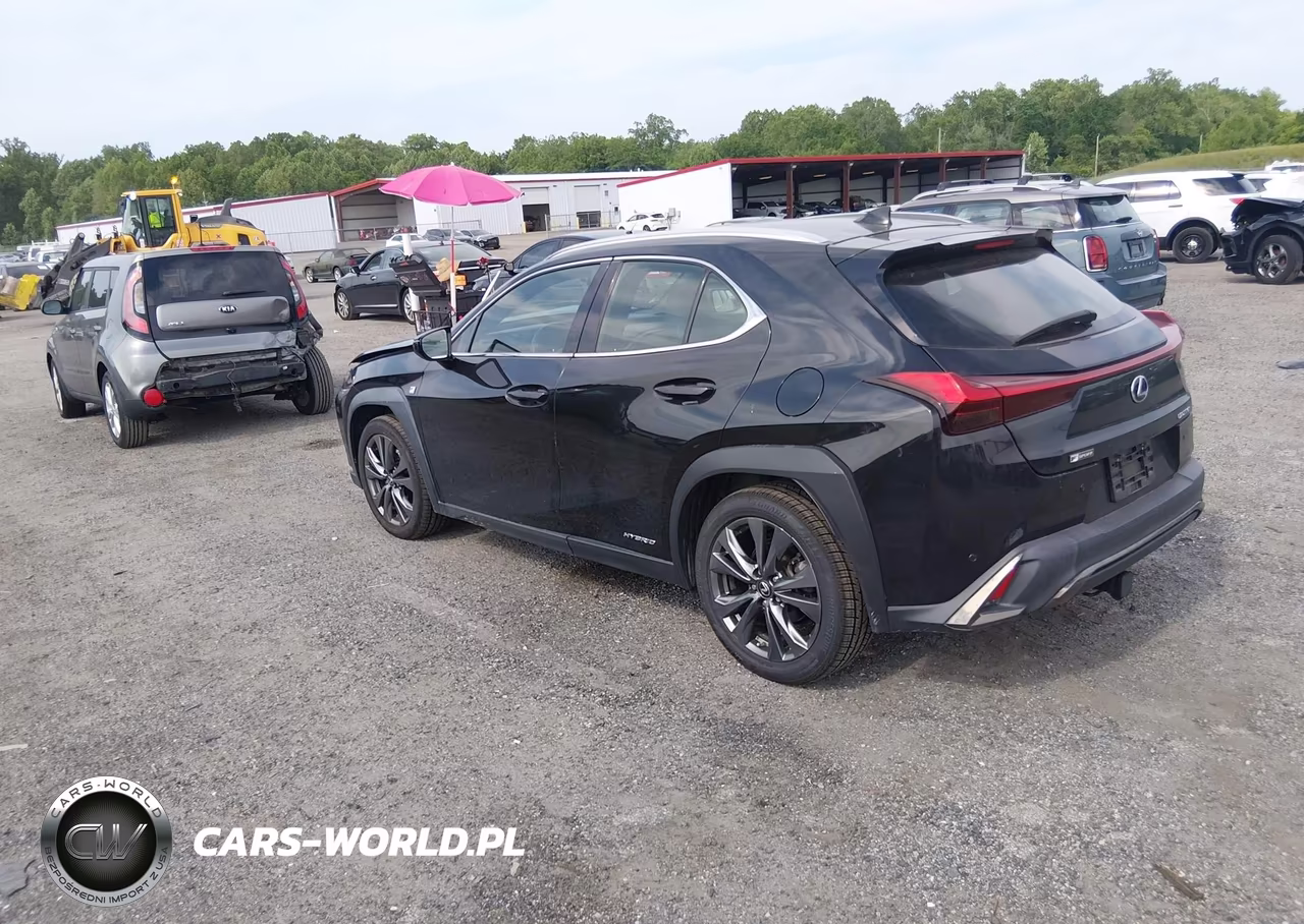 2019 Lexus Ux 250H F Sport VIN:JTHU9JBH5K2013008 - 3