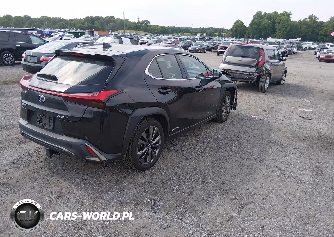 2019 Lexus Ux 250H F Sport VIN:JTHU9JBH5K2013008 - 4