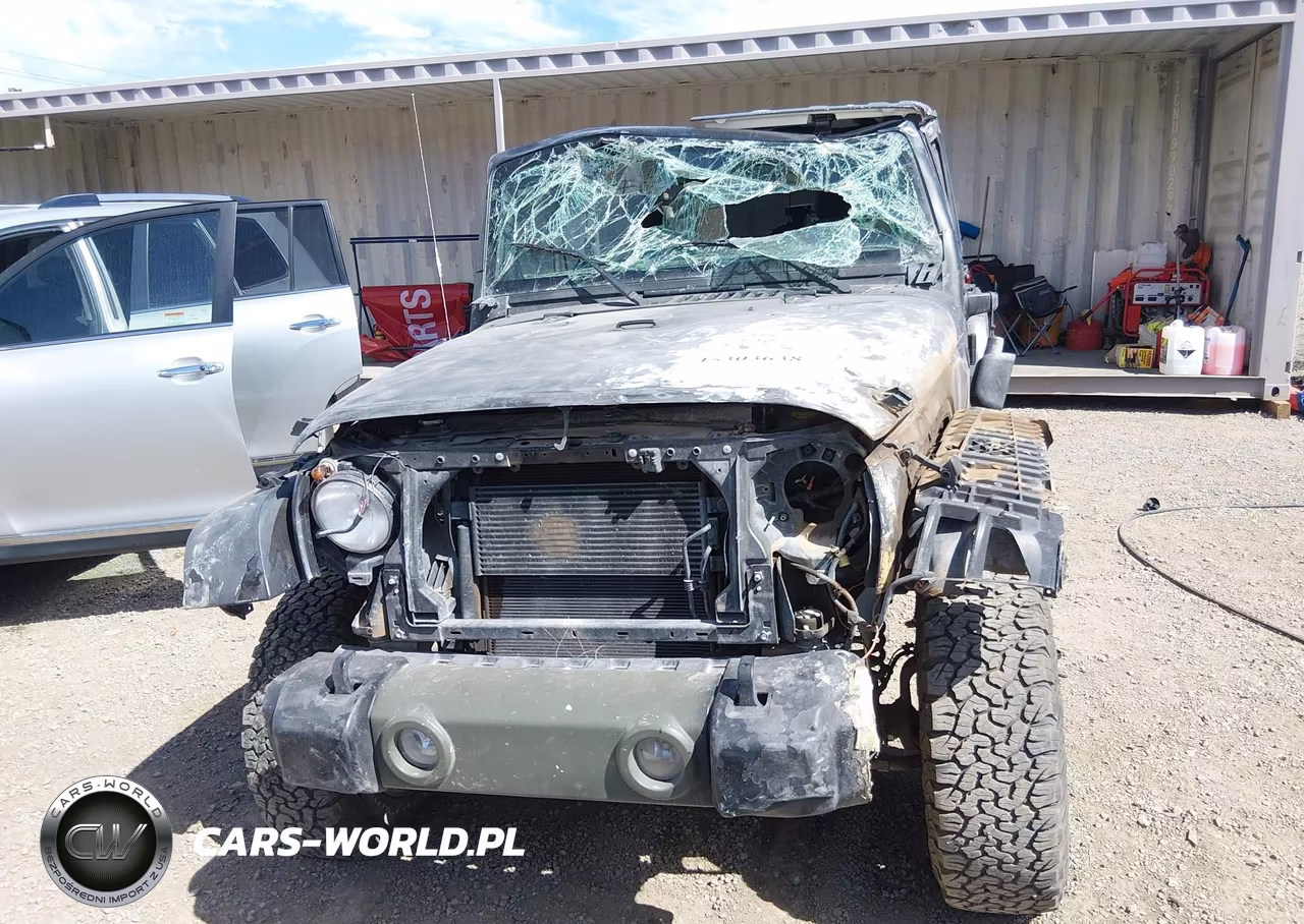 2014 Jeep Wrangler Unlimited Freedom Edition VIN:1C4BJWDG2EL212601 - 12