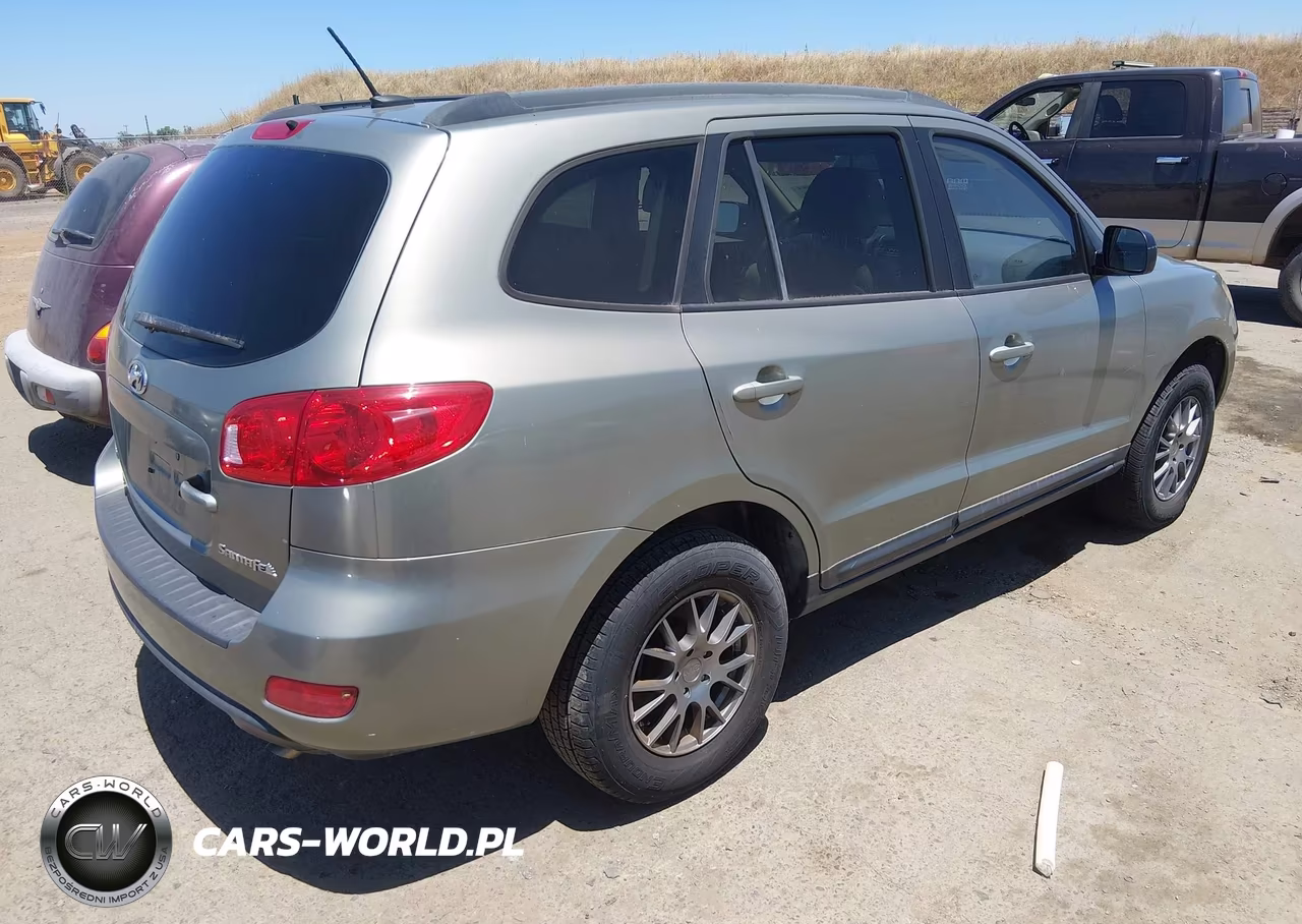 2009 Hyundai Santa Fe Gls VIN:5NMSG13D69H283218 - 4