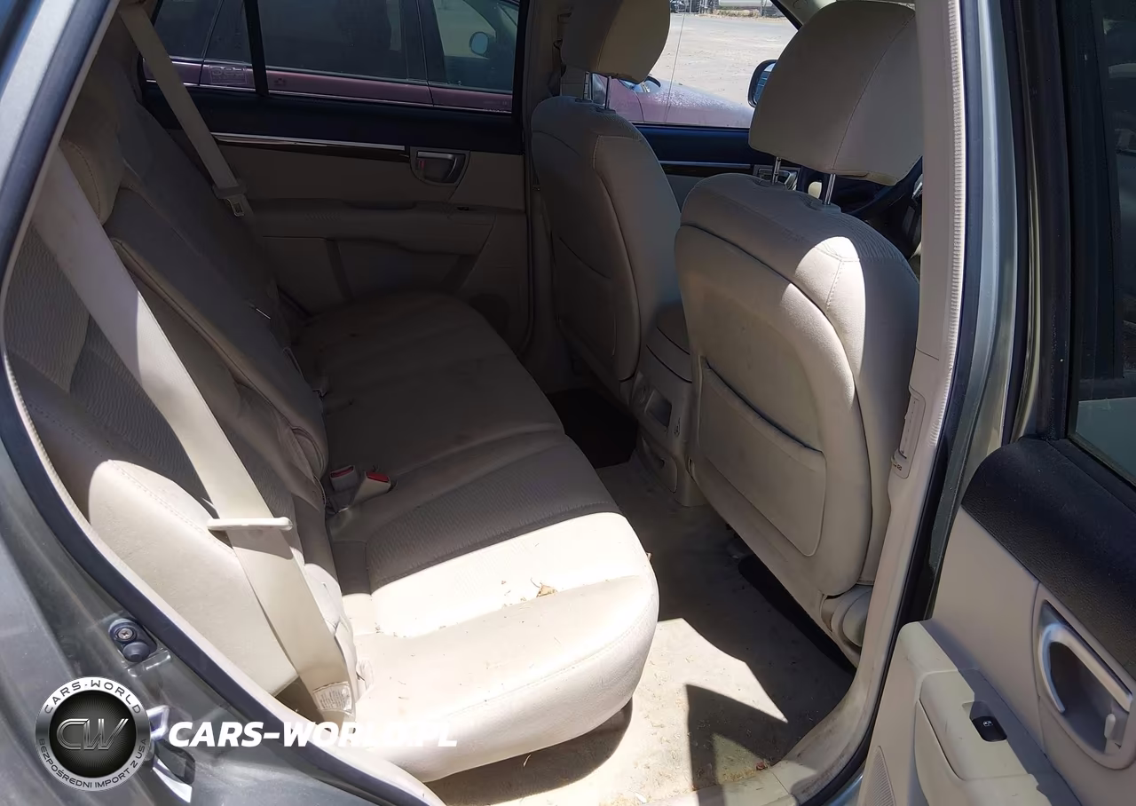 2009 Hyundai Santa Fe Gls VIN:5NMSG13D69H283218 - 8