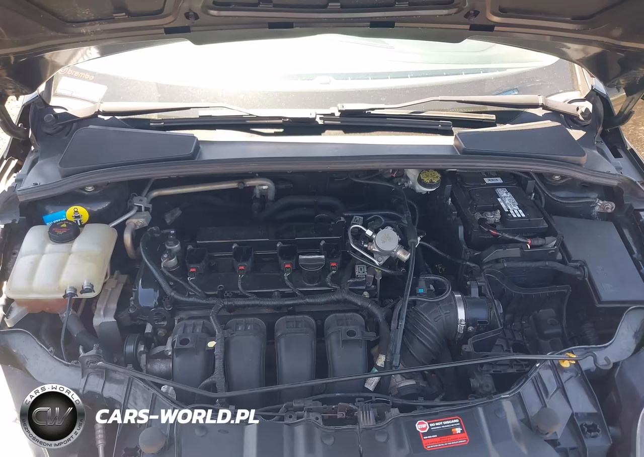 2013 Ford Focus Titanium VIN:1FADP3N2XDL186990 - 10