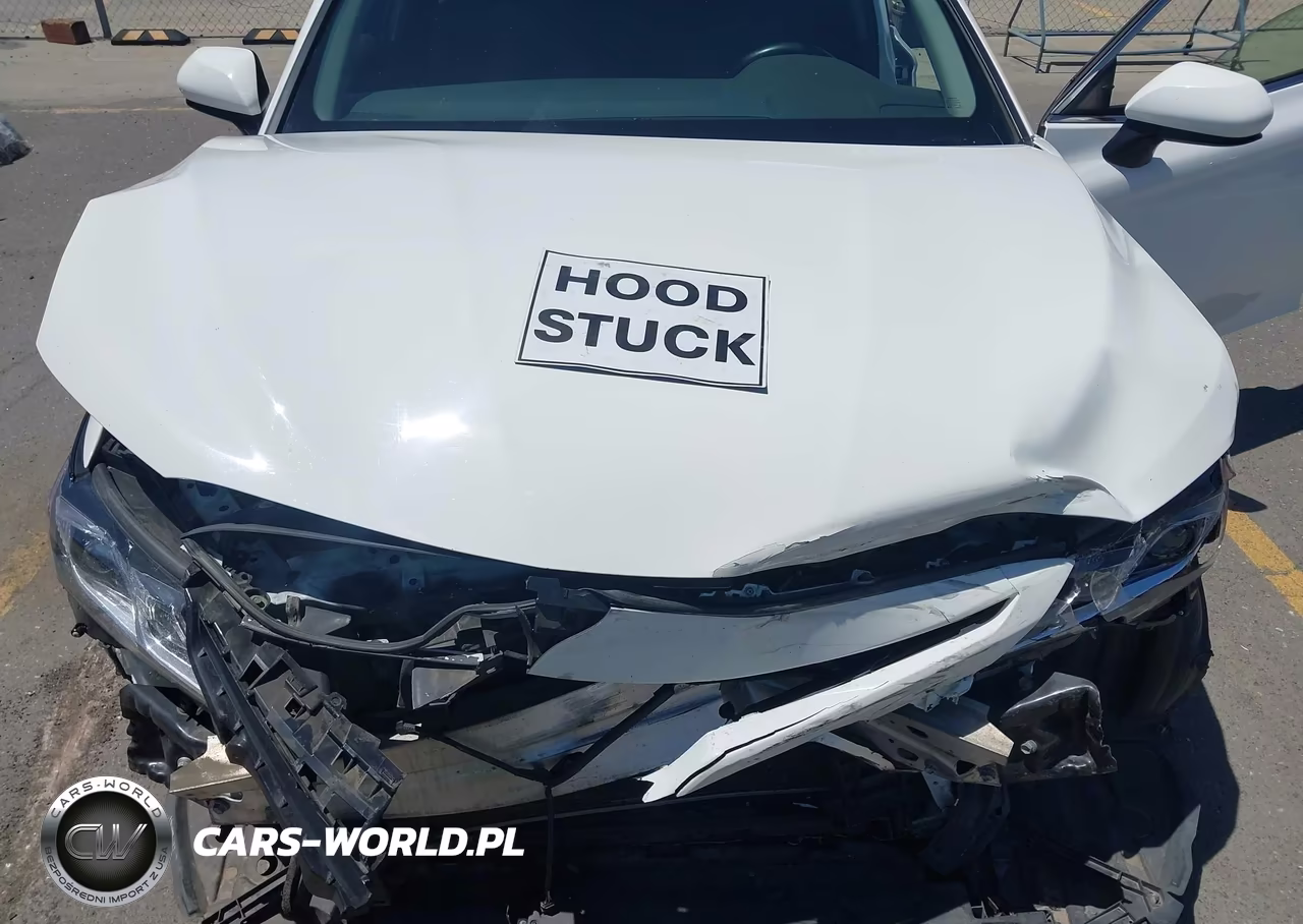 2018 Toyota Camry Se VIN:4T1B11HK4JU083665 - 10