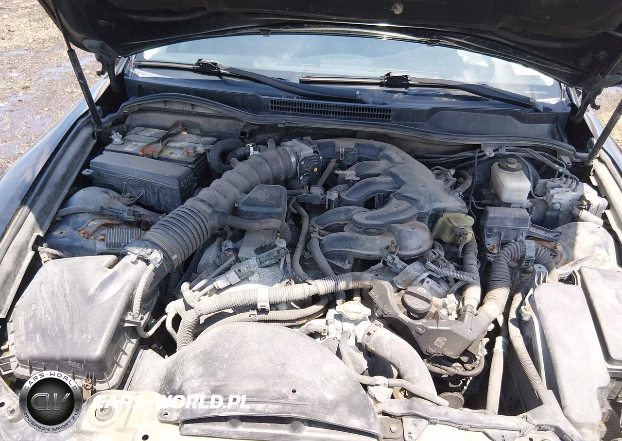 2008 Lexus Is 250 VIN:JTHCK262482020343 - 10