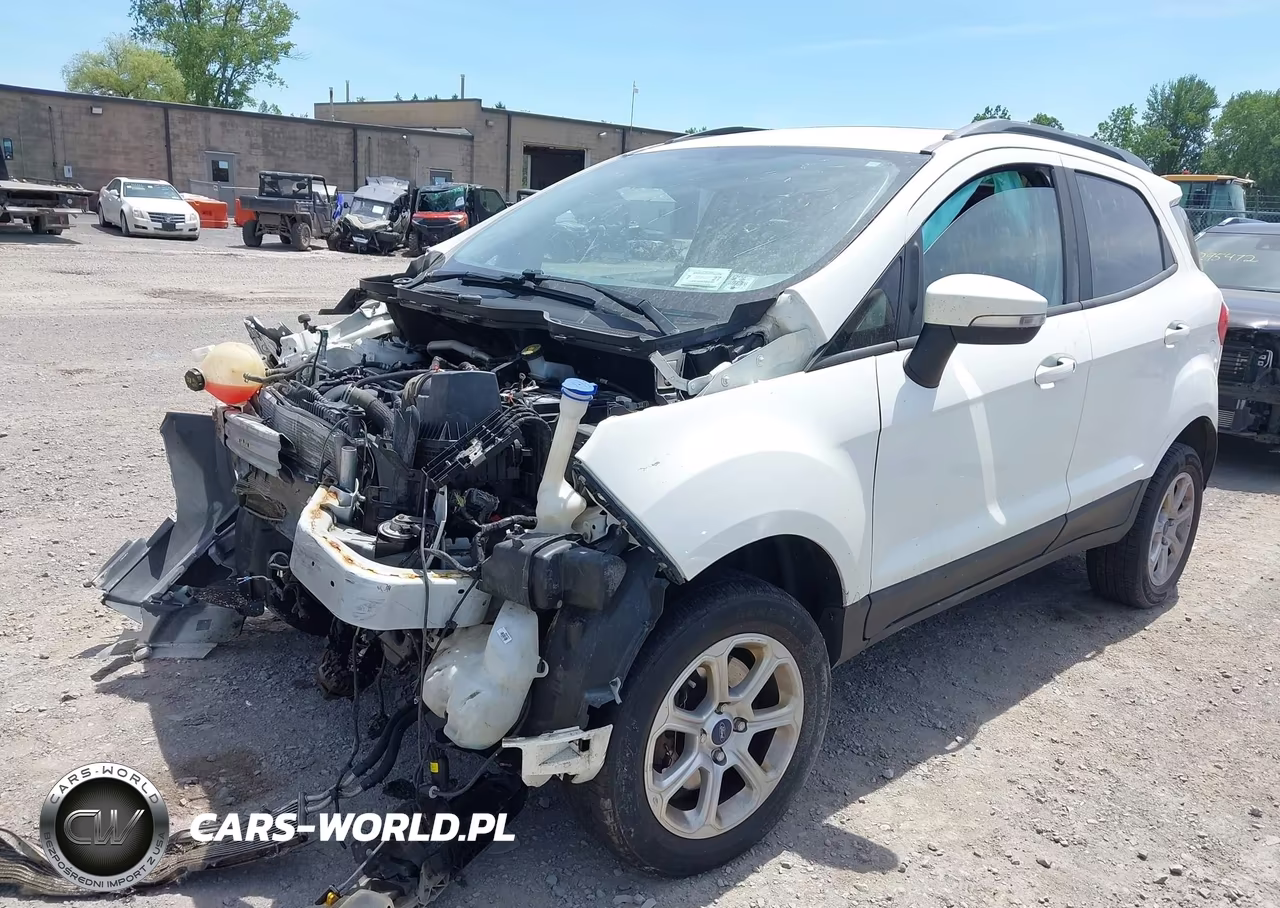 2019 Ford Ecosport Se VIN:MAJ6S3GL3KC271289 - 2