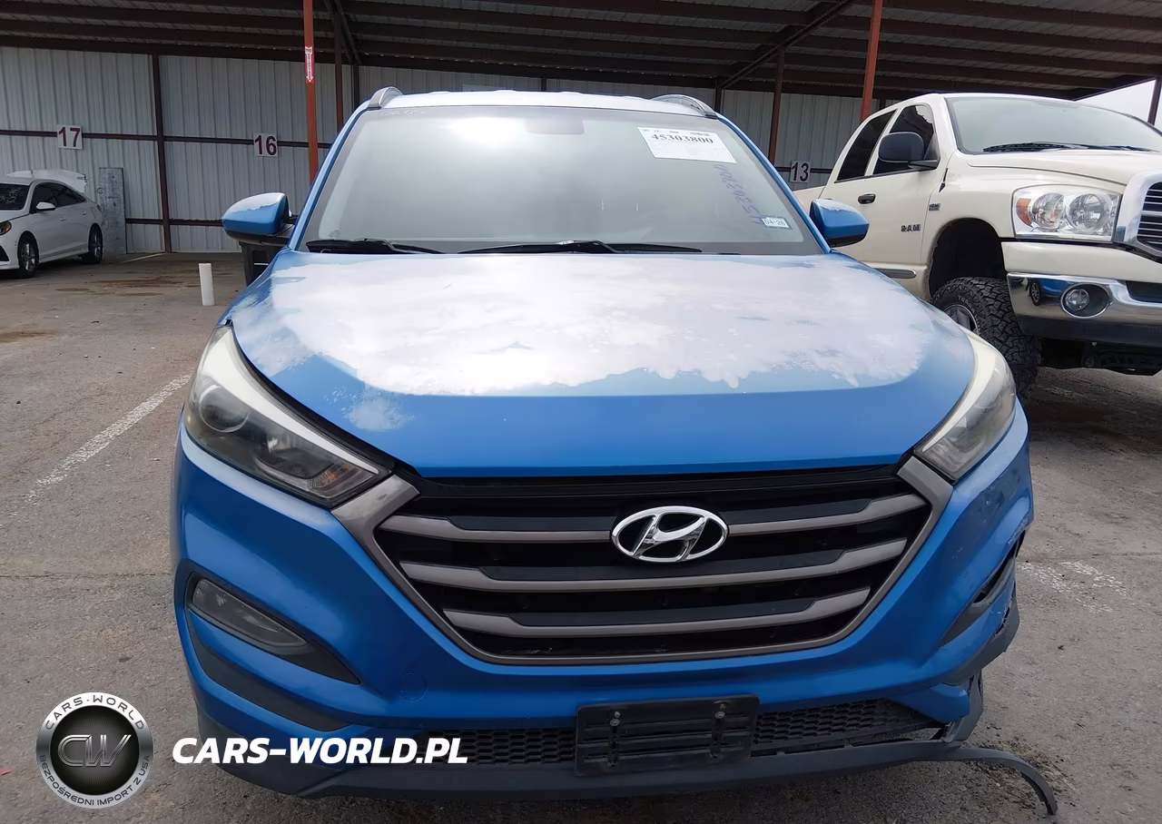 2016 Hyundai Tucson Se VIN:KM8J33A40GU186507 - 12