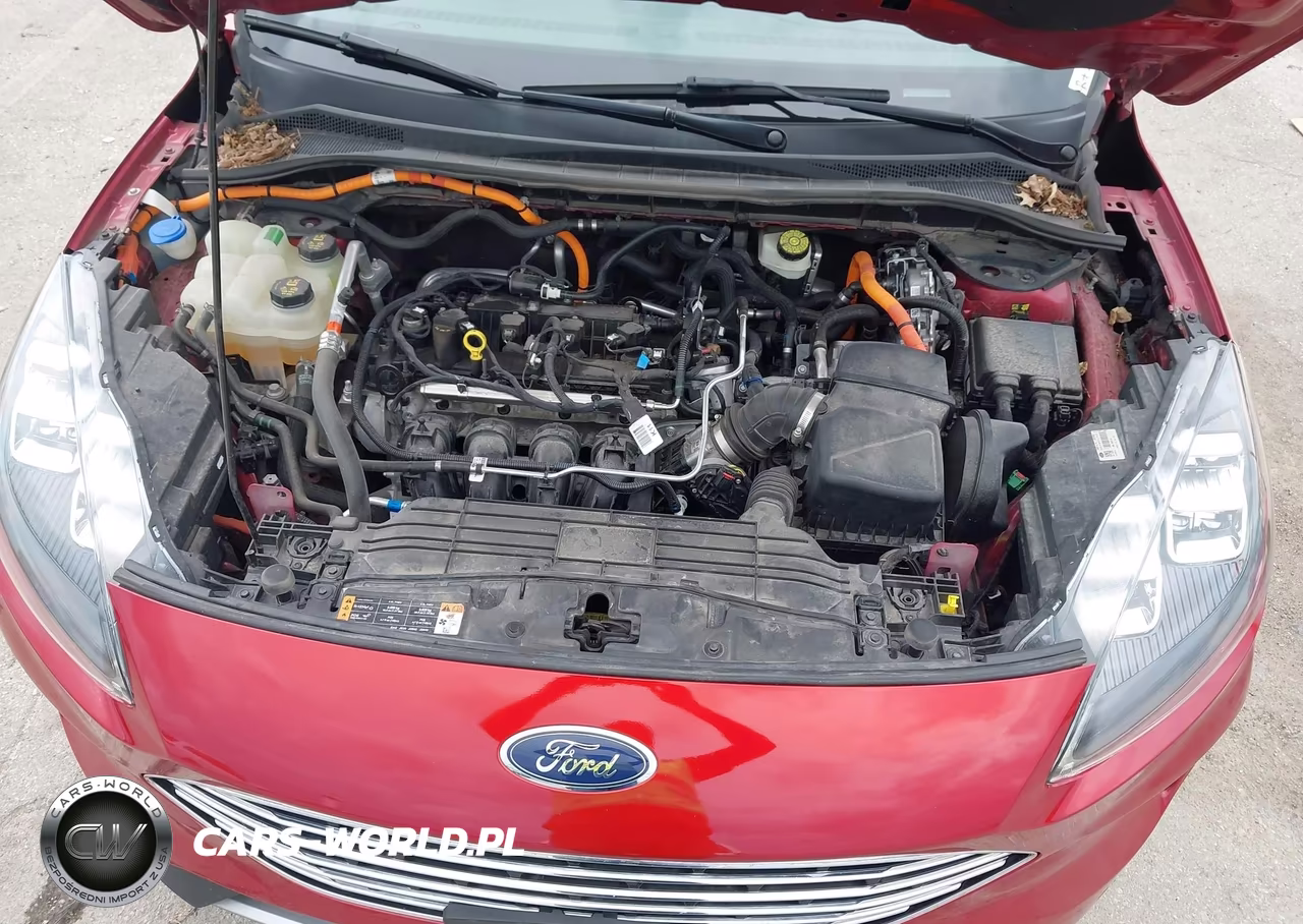 2021 Ford Escape Titanium Hybrid VIN:1FMCU9DZ3MUB19167 - 10