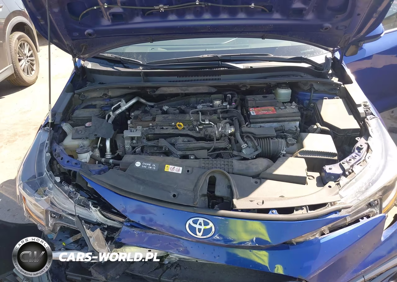 2020 Toyota Corolla Se VIN:JTDS4RCEXLJ022854 - 10