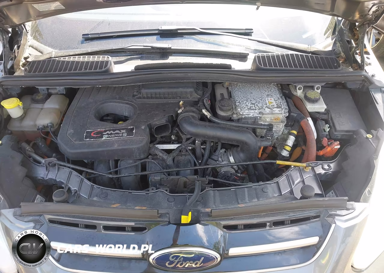 2014 Ford C-Max Energi Sel VIN:1FADP5CU4EL508329 - 10