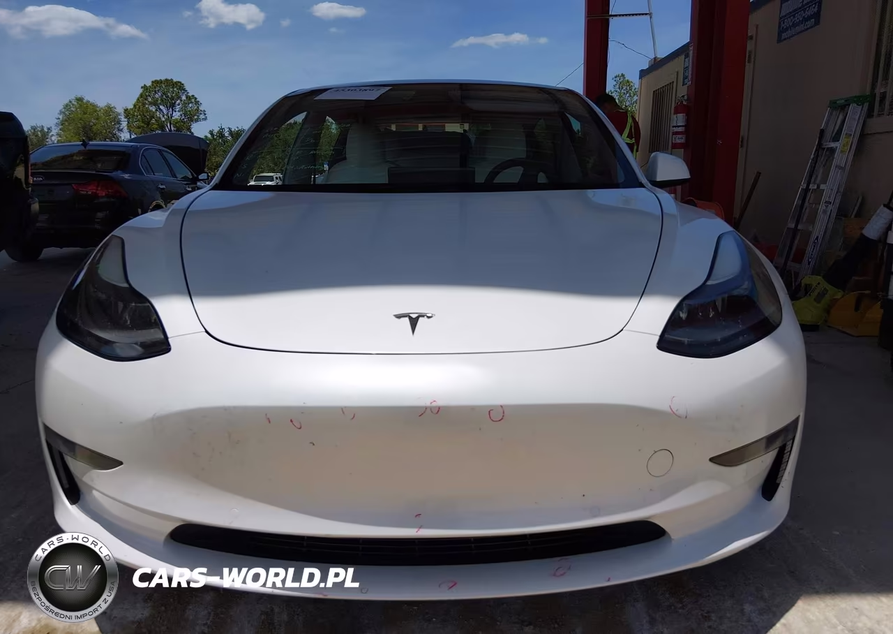 2021 Tesla Model 3 Standard Range Plus Rear-Wheel Drive VIN:5YJ3E1EA8MF987704 - 12