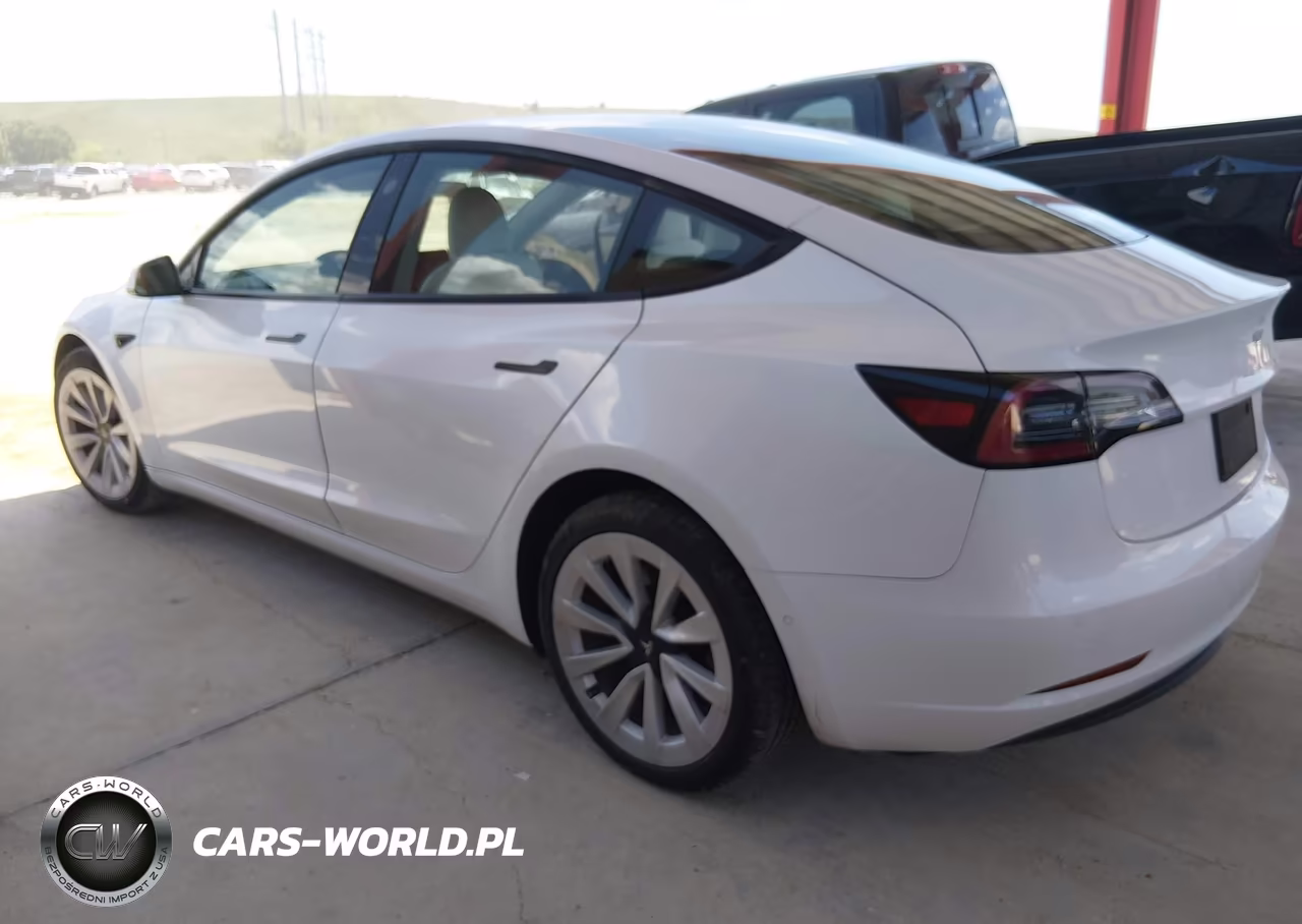 2021 Tesla Model 3 Standard Range Plus Rear-Wheel Drive VIN:5YJ3E1EA8MF987704 - 14