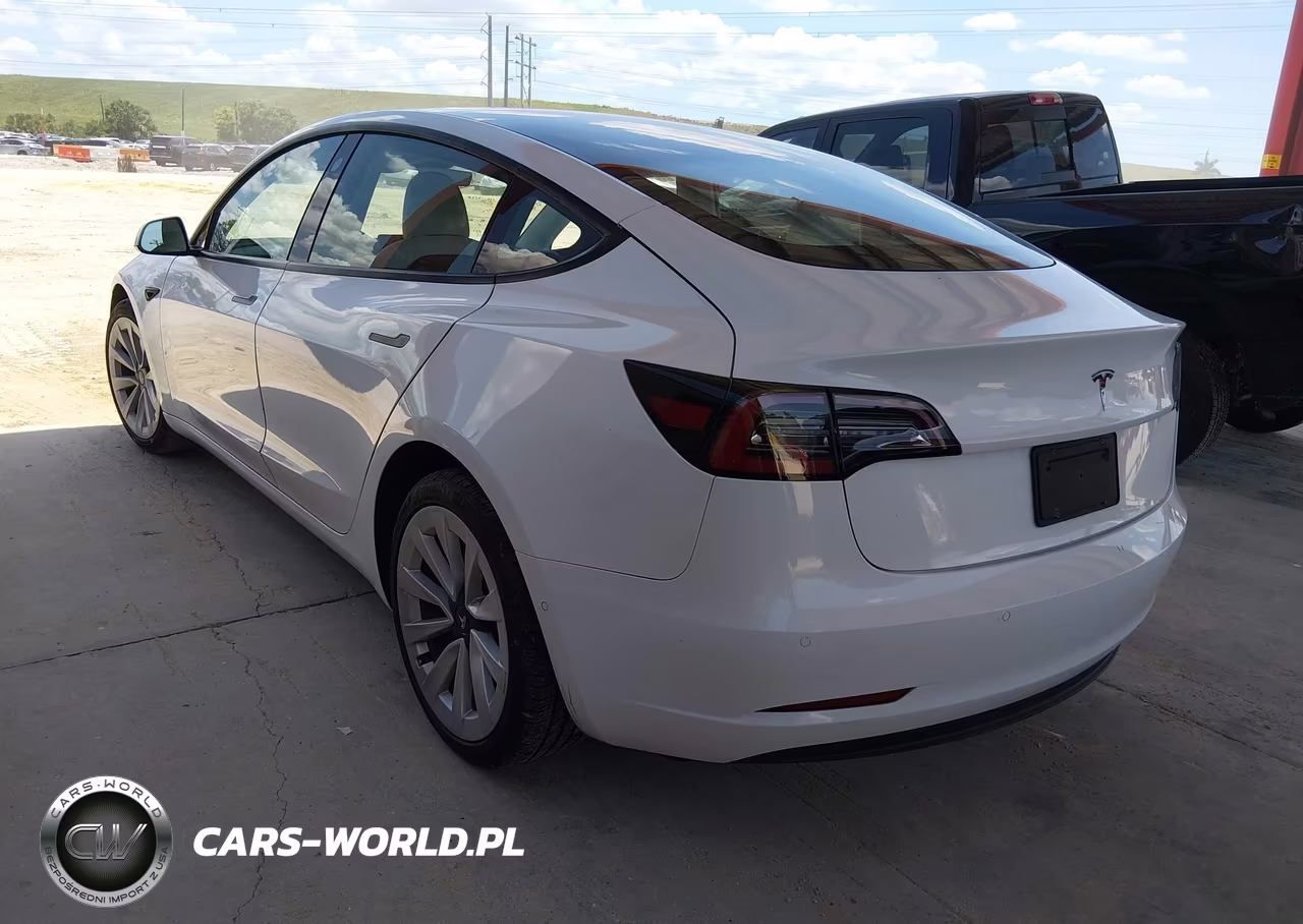 2021 Tesla Model 3 Standard Range Plus Rear-Wheel Drive VIN:5YJ3E1EA8MF987704 - 3