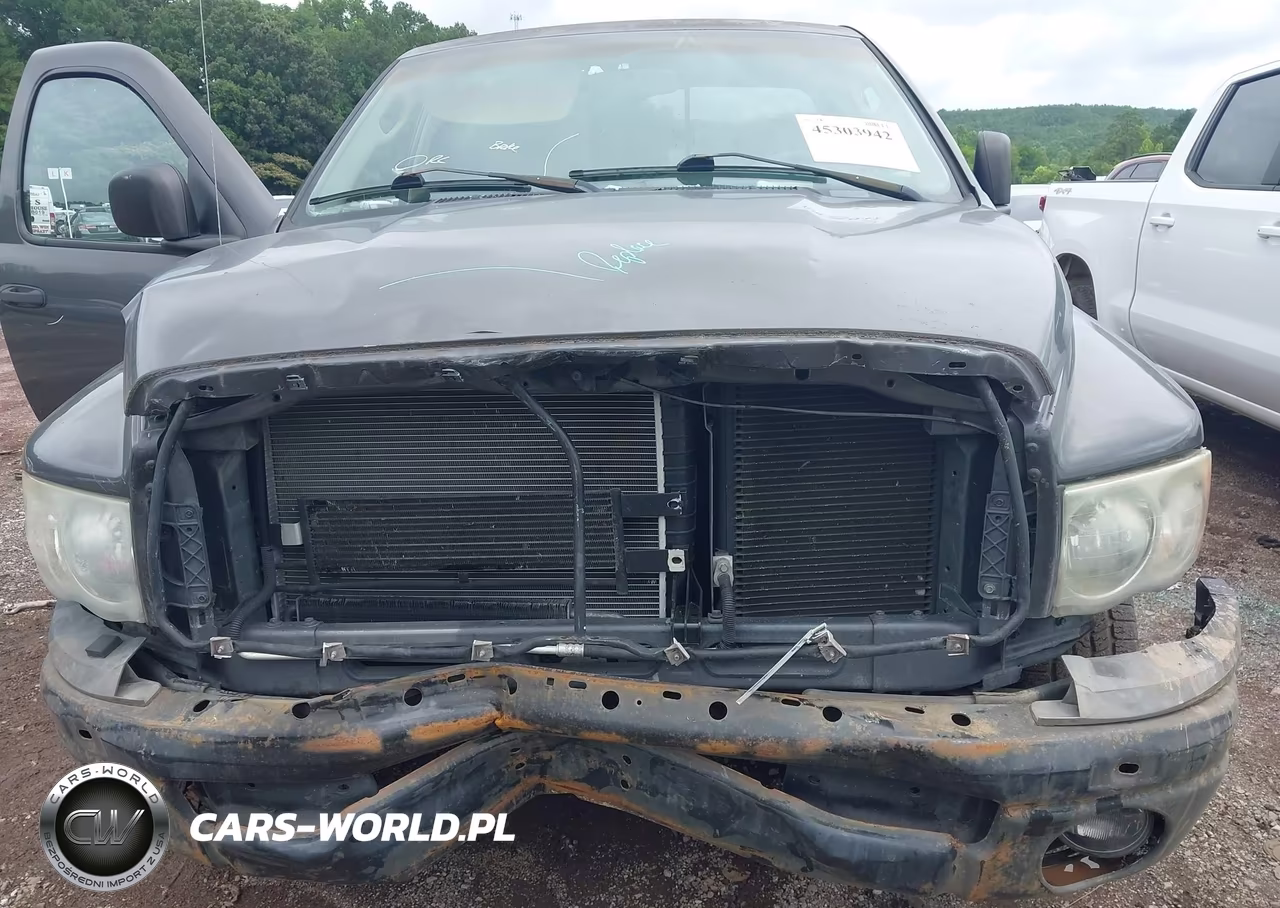 2002 Dodge Ram 1500 St VIN:1D7HA16N62J224952 - 6