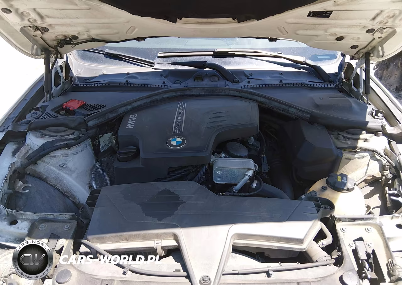 2015 BMW 320I VIN:WBA3B1C58FK139694 - 10