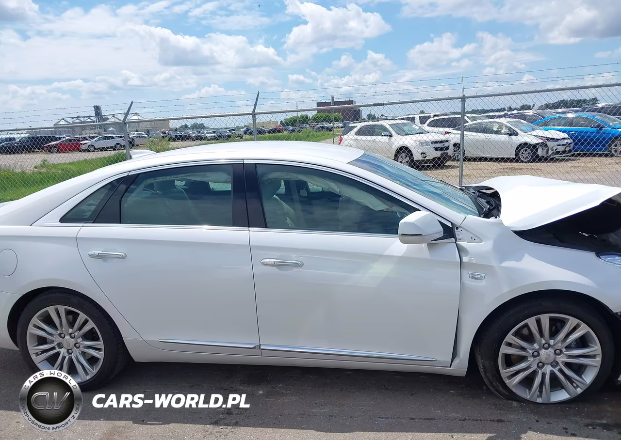 2019 Cadillac Xts Luxury VIN:2G61N5S33K9128190 - 14